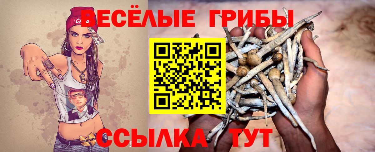 Псилоцибиновые грибы MAGIC MUSHROOMS Курчатов